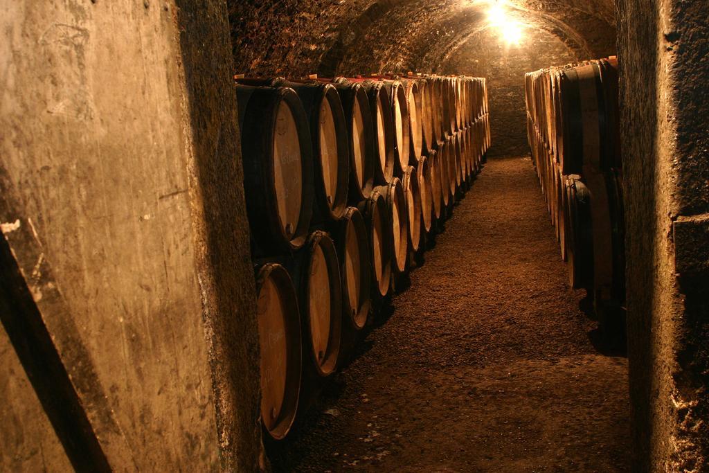 Maison D'Hotes Chandon De Briailles Savigny-lès-Beaune Eksteriør bilde